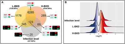 Transcriptomic Profiling of the Adaptive and Innate Immune Responses of Atlantic Salmon to Renibacterium salmoninarum Infection